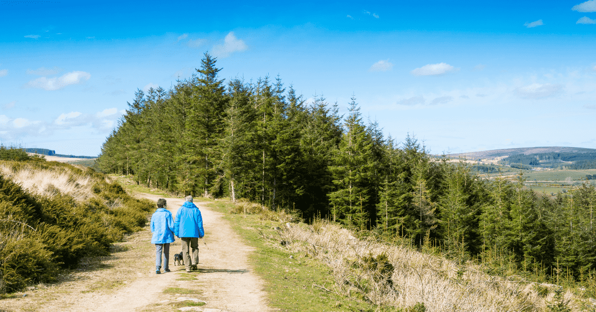 walking on Dartmoor